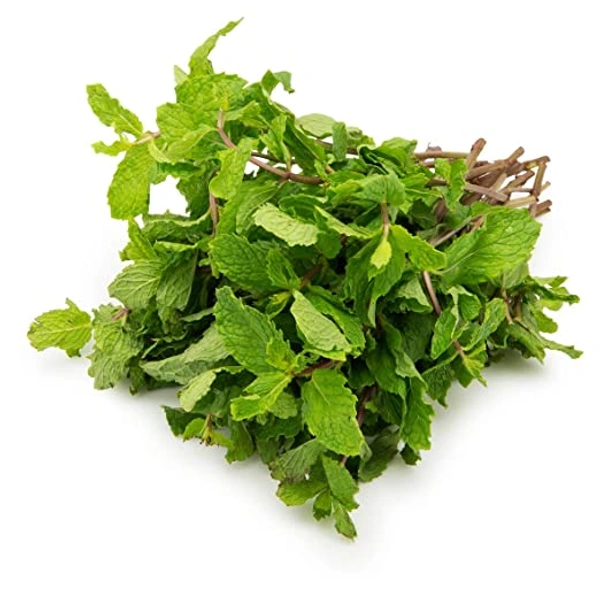 Pudina (Mint) - 1p (100g)