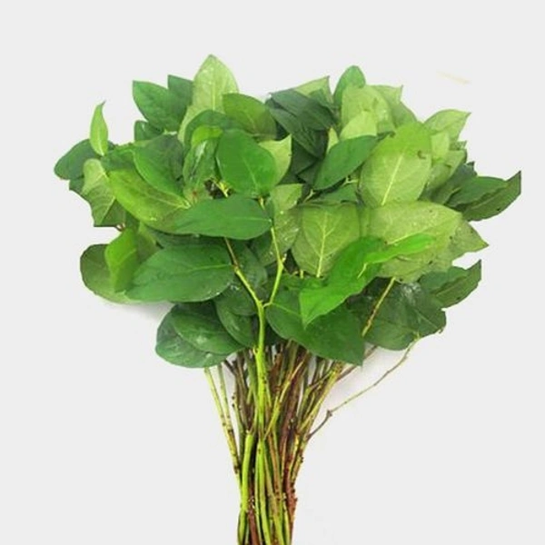 Lemon Leaf - 100g