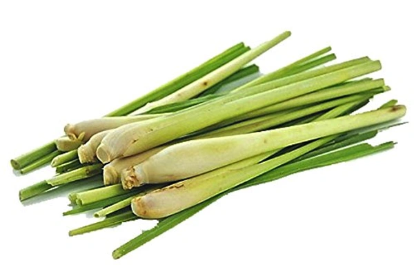 Lemon Grass - 250g