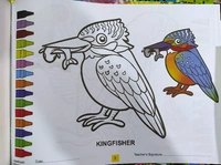 Drawing Book Play With Color