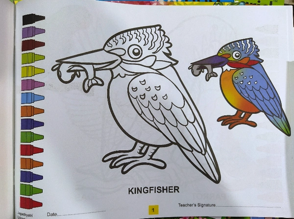 Drawing Book Play With Color
