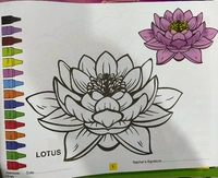 Drawing Book Play With Color