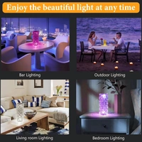 Rose Diamond Crystal Table Lamp USB Rechargeable, 8 Mode Color Changing Acrylic 3D Night Light (16 Colors with Touch and Remote Control)