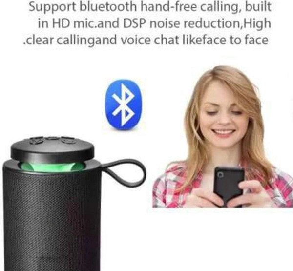  TG113 Wireless Bluetooth Speaker with FM Radio, USB, Aux and Micro SD card Slot.