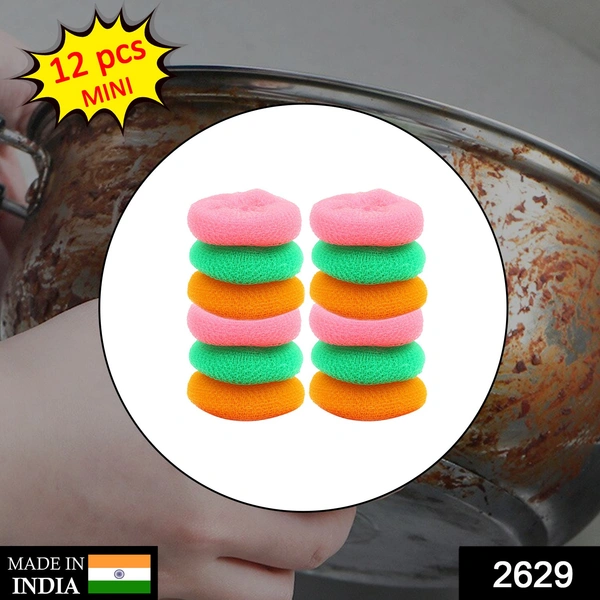 2629 Plastic Scrubber Round Nylon Scrubbers Small Size  (Pack of 12)