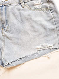 Urbanic High Rise Distressed shorts - Blue, 32 In