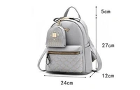 Voguish Attractive Women Backpacks(SS41285520)  - Grey, Sidhu Collection 