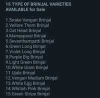 15 Types Of Brinjal varieties - 30-50see-50packet