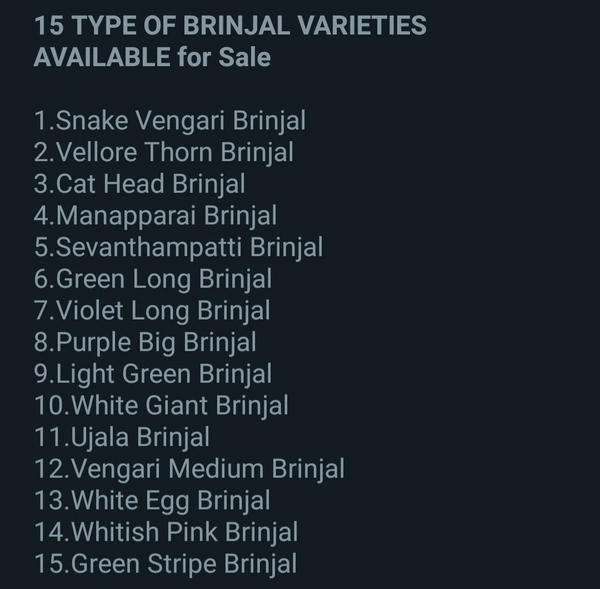 15 Types Of Brinjal varieties - 30-50see-50packet