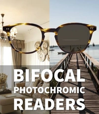 Bifocal Daynite (Photochromatic) Low Power - grey, 1.50