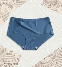 GIWb-22205 Ice Silk Mid-Waist Laser Cut Seamless Panties - XXL