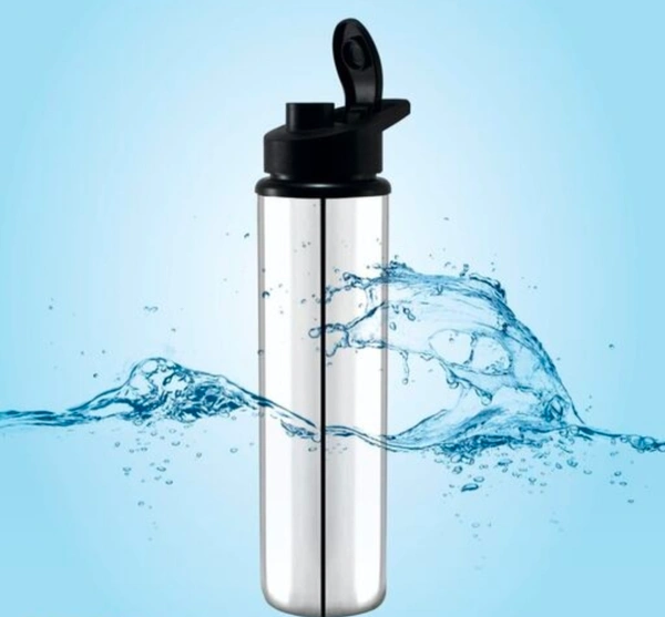 Stainless Water Bottle - Free size