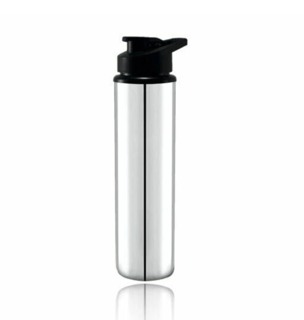 Stainless Water Bottle - Free size
