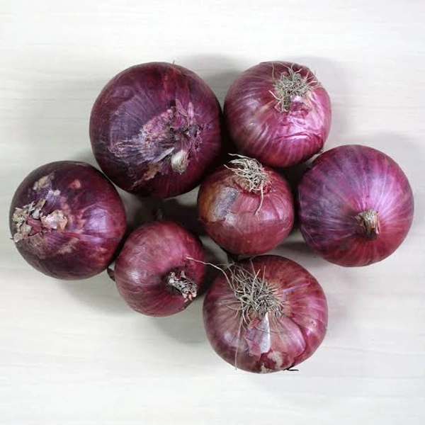 Onion 500