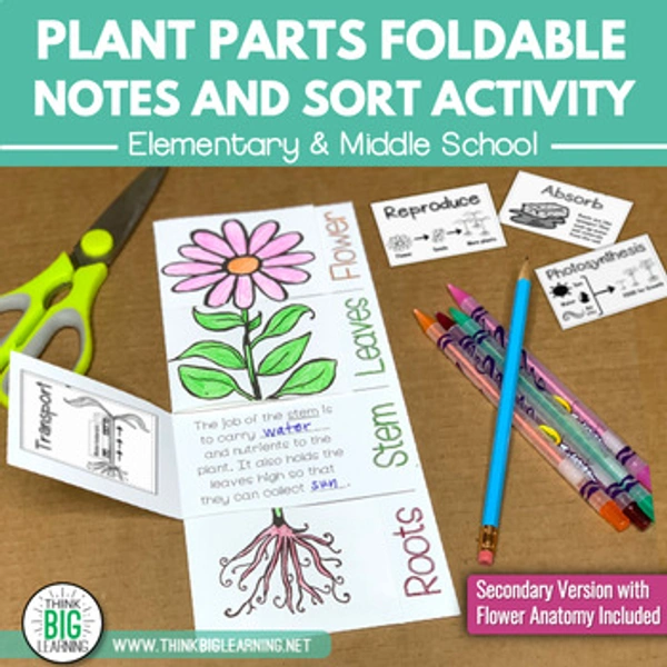 FUN WITH ACTIVITY PART 4(N)