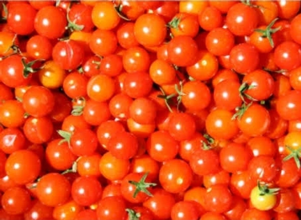 Desi Tomato - 1 Kg (Approx Weight), Next Day Delivery