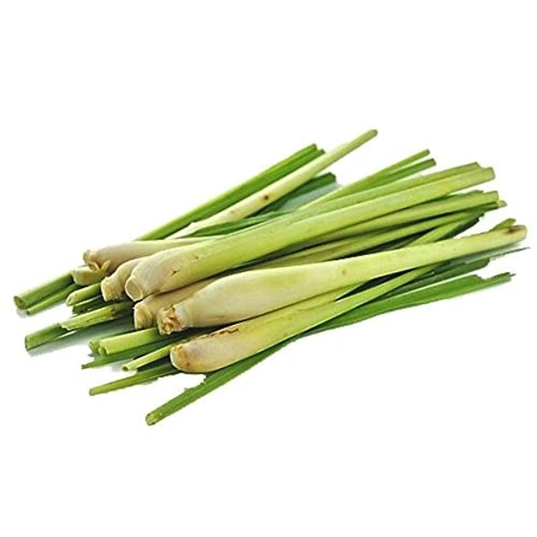Lemon Grass - 250 Grams (Approx Weight), Next Day Delivery