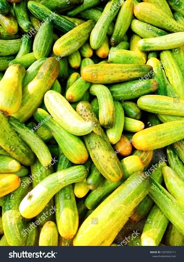 Desi Cucumber - 500 Grams (Approx Weight), Next Day Delivery