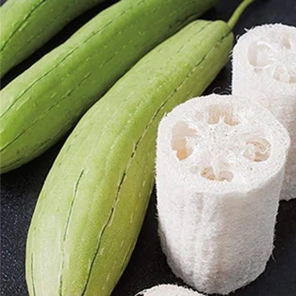 Luffa - 250 Grams (Approx Weight), Next Day Delivery