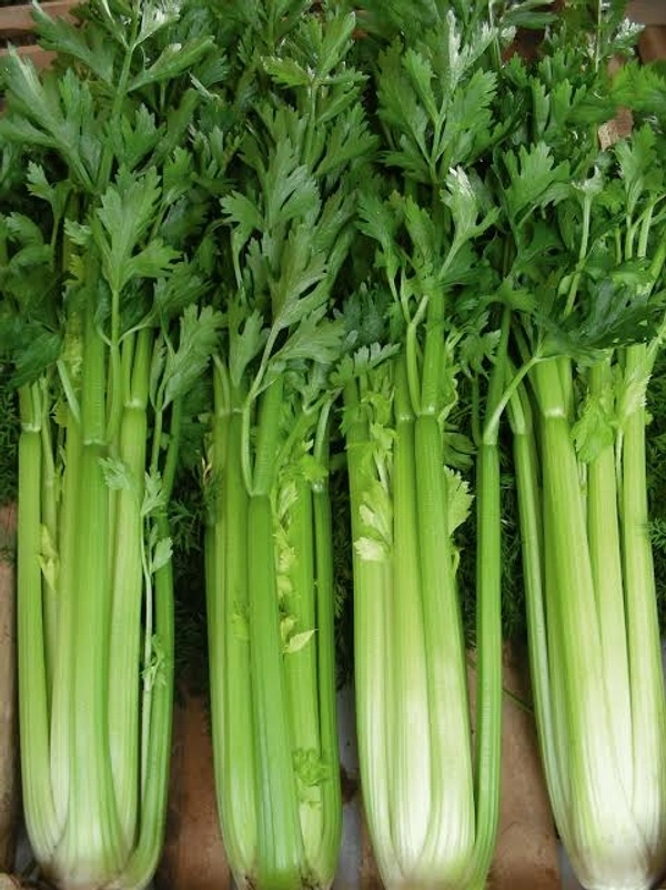 Celery - 250 Grams (Approx Weight), Next Day Delivery