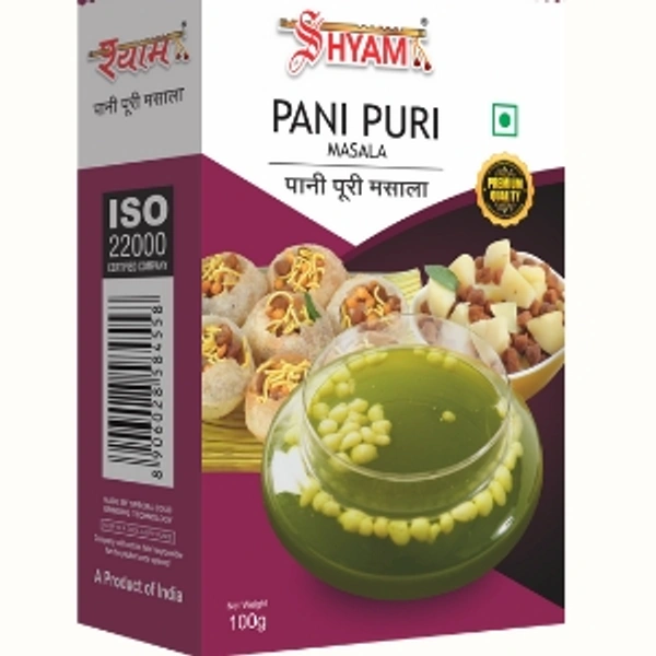 SHYAM PANI PURI MASALA 100GM