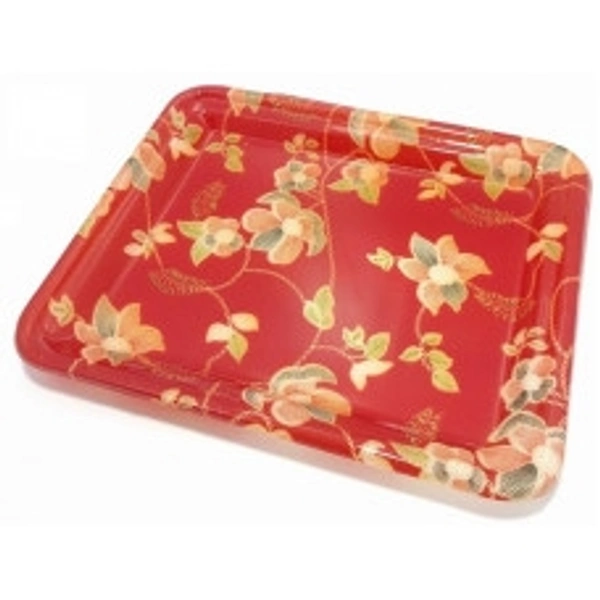 SKI TRAY ELEGANCE BIG 1N