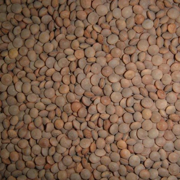 SRN KALA MASOOR 500GM