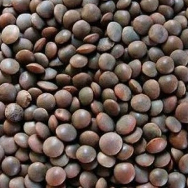 SRN MASOOR BLACK 500 GM