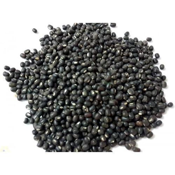 SRN URAD SABUT 1KG