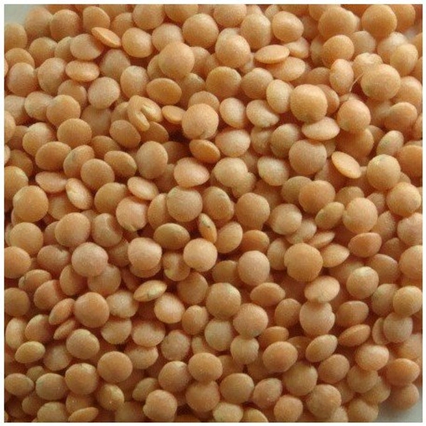 SRN MASOOR DAL 500g