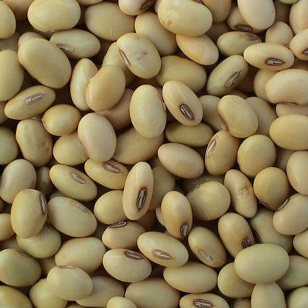 SRN SOYABEAN 500g