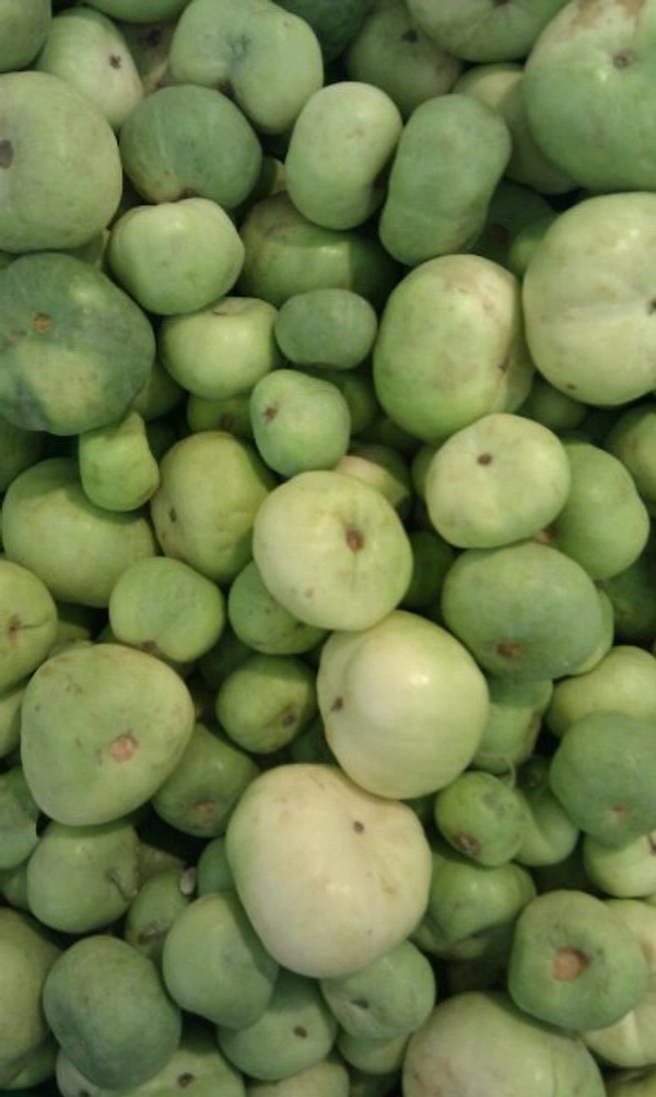 Tinda - 250 Grams (Approx Weight), Next Day Delivery