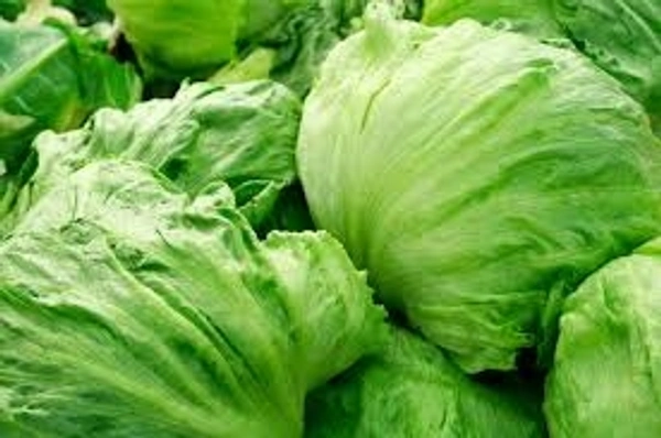 Iceberg lettuce - 250 Grams (Approx Weight), Next Day Delivery