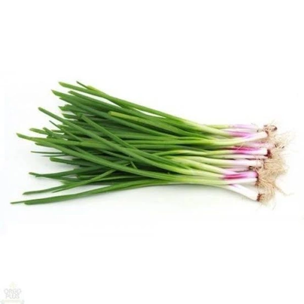 Green Onion - 500 Grams (Approx Weight), Next Day Delivery