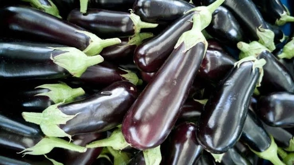 Aubergine - 250 Grams (Approx Weight), Next Day Delivery