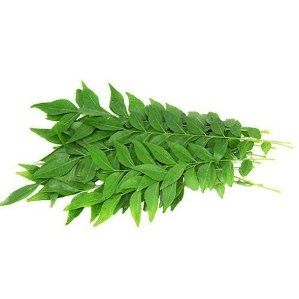 Curry Leaf - 250 Grams (Approx Weight), Next Day Delivery