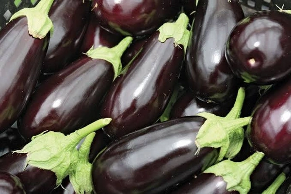 Eggplant - 250 Grams (Approx Weight), Next Day Delivery