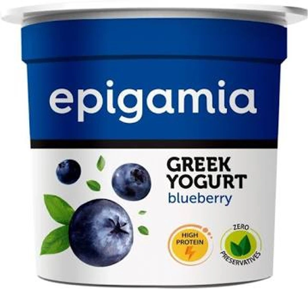 EPI YOGURT BLUEBERRY 90G