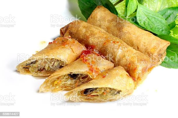 Veg Spring Roll