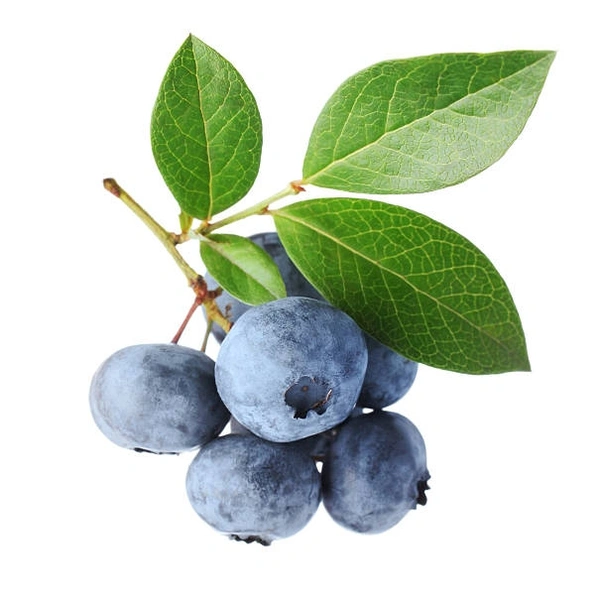 Blueberry