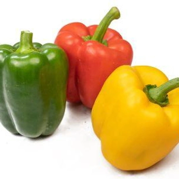 Capsicum 