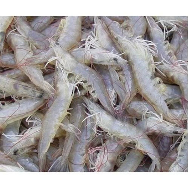 Prawns( कोलंबी ) Midium Size - 1kg