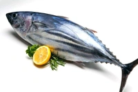Surmai (Kingfish) सुरमई  - 1 Kg