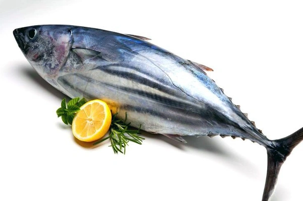 Surmai (Kingfish) सुरमई  - 1 Kg