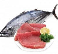 Surmai (Kingfish) सुरमई  - 1 Kg