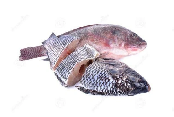 Chilapi Fish(चिलापी) - 1 Kg.