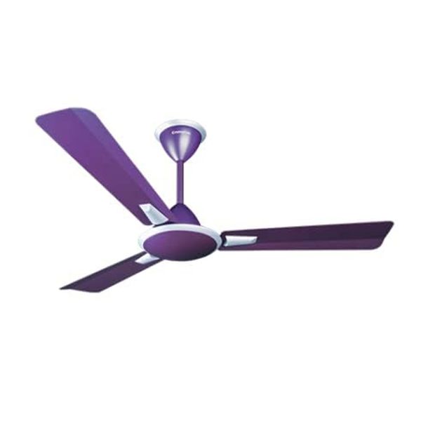 Crompton Aura Anti Dust Prime Decorative Ceiling Fan with Anti Dust technology - 1200 mm (Lilac Gloss)