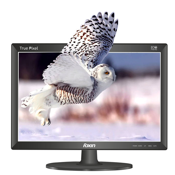 Foxin FM 1540 Pixel VEGA Monitor with 1024x768 Resolution (Black)