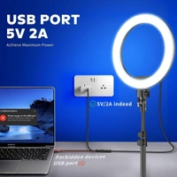 VEV Ring Fill Light 10 Watt LED Ring Light with 26 Cm With Phone Holder 10 Level Dimmable With 3 Modes of Light