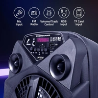 Artis BT101 20W Portable 5.0 Bluetooth Party Speaker with FM/USB/TF Card & Wired Mic (Black)